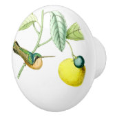 Vogelvogels in het wild levende dieren fruitknol keramische knop (Rechts)