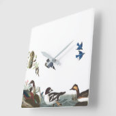 Vogelvogels in het wild levende dieren Kogelmuur k Vierkante Klok (Hoek)