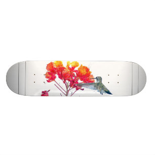 Vogelvogels in het wild levende dieren persoonlijk skateboard