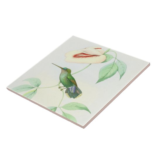 Vogelvogels in het wild levende dieren tegeltje (Zijkant)