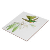 Vogelvogels in het wild levende dieren tegeltje (Zijkant)