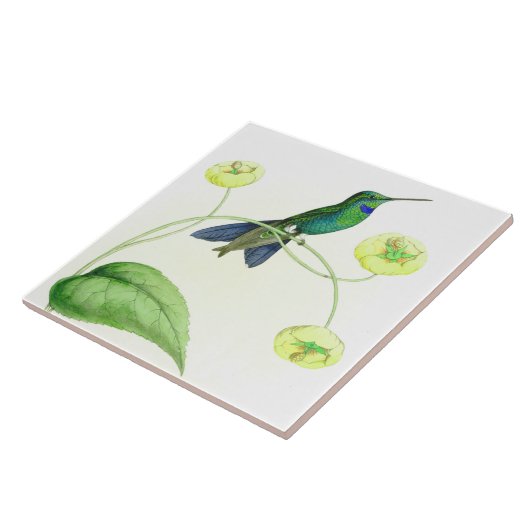 Vogelvogels in het wild levende dieren tegeltje (Zijkant)