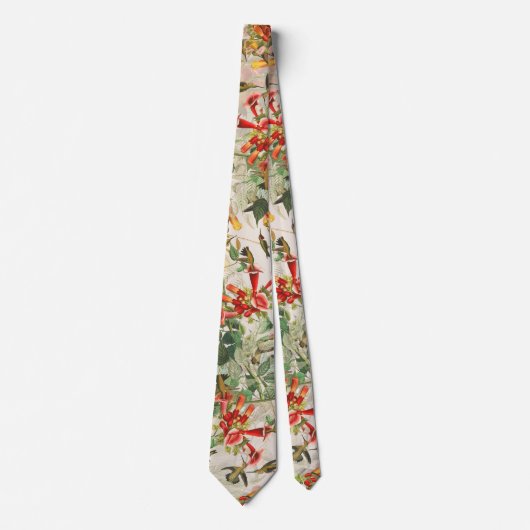 Vogelvogels in het wild levende vogelsoorten Strop Stropdas (Voorkant)