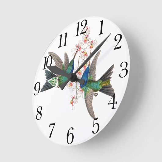 Vogelvogels in het wild ronde klok (Hoek)