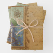 Vogelvogels Inpakpapier Vel (In situ)