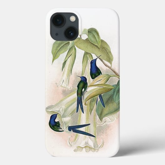 Vogelvogels iPhone 6 Hoesje (Achterkant)