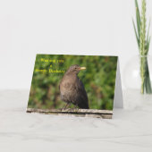 Vogelvogels Kaart (Voorkant)