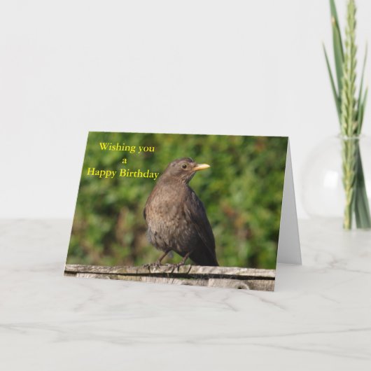 Vogelvogels Kaart (Voorkant)