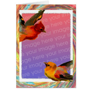 Vogelvogels Lijst Je foto op zaterdag