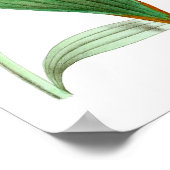 Vogelvogels nr. 1: Bird and Botanical Wall Art Poster (Hoek)