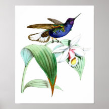Vogelvogels nr. 1: Bird and Botanical Wall Art