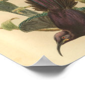 Vogelvogels Paarse afdrukken in de kleur van het Poster (Hoek)