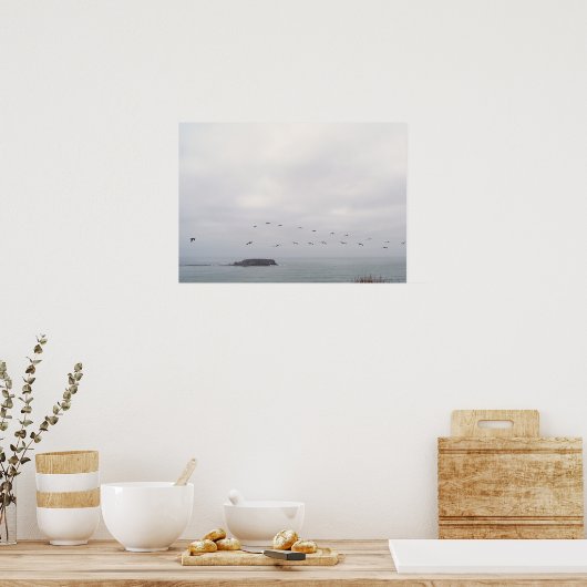 Vogelvogels tijdens de vlucht poster (Keuken)