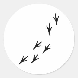 Vogelvogels - Tracks Ronde Sticker