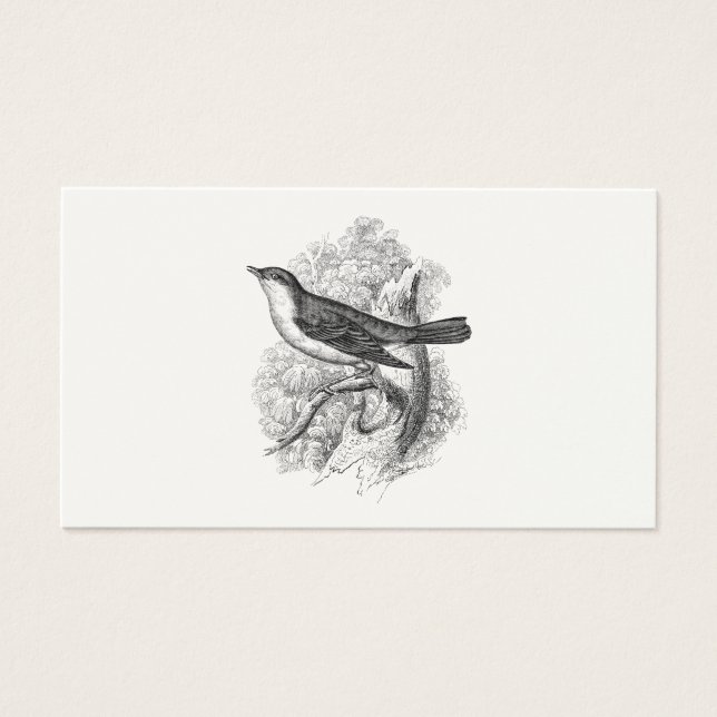  vogelvogels van de 18de eeuw visitekaartje (Voorkant)