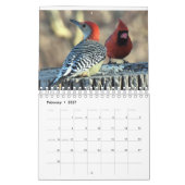 Vogelvogels van de Hudson Valley Kalender (Feb 2027)