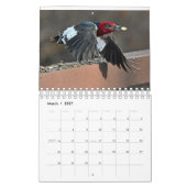Vogelvogels van de Hudson Valley Kalender (Mar 2027)