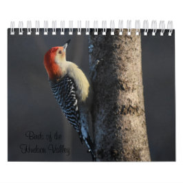 Vogelvogels van de Hudson Valley Kalender