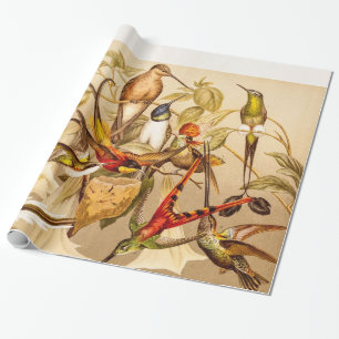  vogelvogels Vogelvogels Cadeaupapier