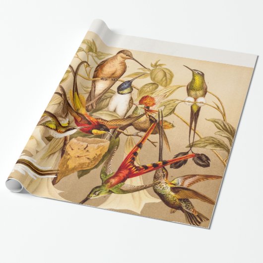  vogelvogels Vogelvogels Cadeaupapier (Uitgerold)