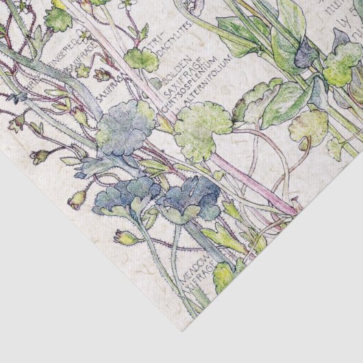 Vogelvogels Wilde bloemen Weefpapier Tissuepapier (Detail)