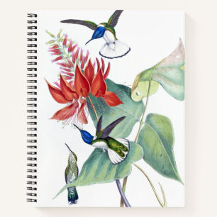 Vogelvogels Wilde dieren Natuurlijke stamboeken Notitieboek