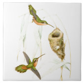 Vogelvogels Wilde dieren Nest Tegeltje (Voorkant)