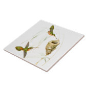 Vogelvogels Wilde dieren Nest Tegeltje (Zijkant)