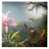 Vogelvogels - Wilde dieren Tegeltje (Voorkant)