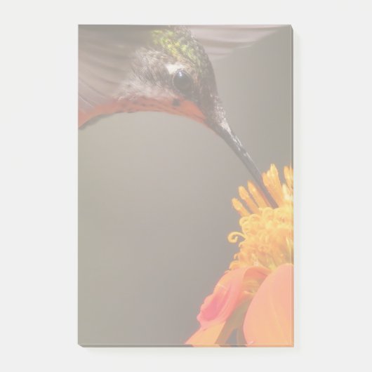 Vogelvogels Zonnebloembloem Bloemvezel Tuin Post-it® Notes (Voorkant)