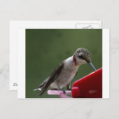 Vogelvogelvlucht in Georgië Briefkaart (Voorkant / Achterkant)