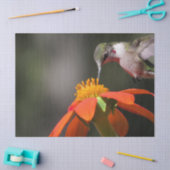 Vogelvogelvrij Zonnebloem Bloembloem Tissuepapier (Craft)