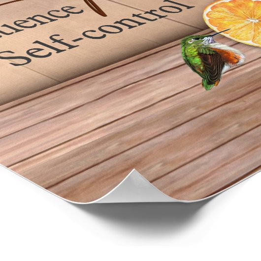 Vogelvruchten van de gedistilleerde huishoudelijke poster (Hoek)