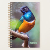 Vogelwaarnemer Blauw Sinaasappel Groene spreeuw op Planner (Voorkant)