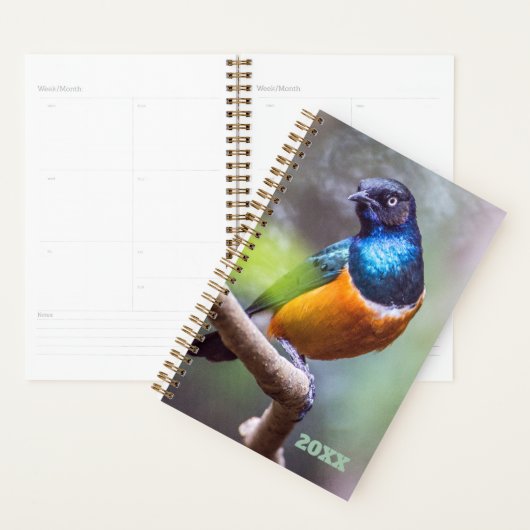 Vogelwaarnemer Blauw Sinaasappel Groene spreeuw op Planner (Display)