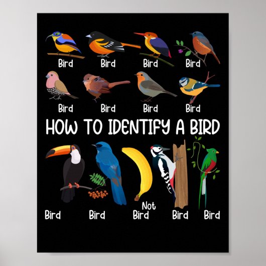 Vogelwachter hoe je een unieke vogel kunt identifi poster (Voorkant)