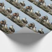 Vogelwandelpapier voor de familie Osprey Cadeaupapier (Hoek)