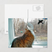 Vogelwateren Briefkaart (Voorkant / Achterkant)