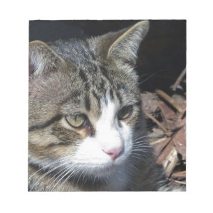 Vogelwateren Notitieblok