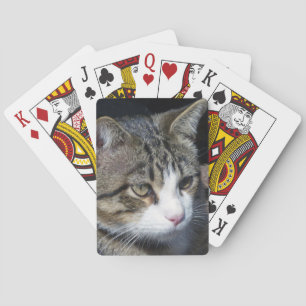 Vogelwateren Speelkaarten