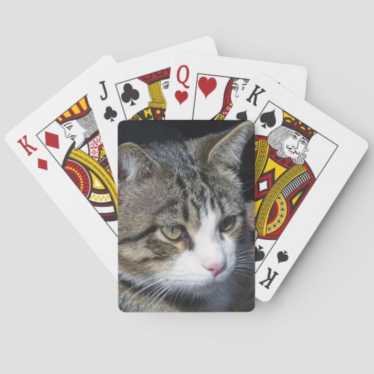 Vogelwateren Speelkaarten (Achterkant)