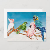 VogelWaterverf Parrot Macaw Cockatau Paraket Briefkaart (Voorkant / Achterkant)