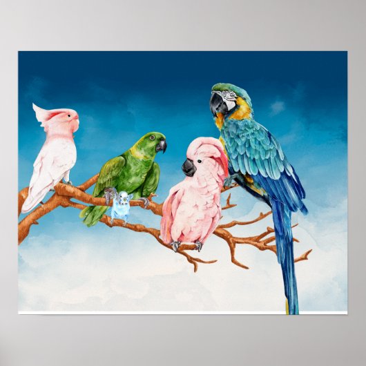 VogelWaterverf Parrot Macaw Cockatau Paraket Poster (Voorkant)