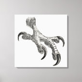  Vogelwetten met speciale aandacht voor Eagle Claw Canvas Afdruk (Voorkant)
