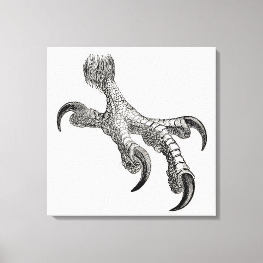 Vogelwetten met speciale aandacht voor Eagle Claw Canvas Afdruk (Voorkant)