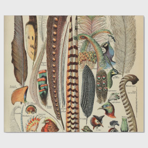 Vogelwildlife Antieke Veren Cadeaupapier