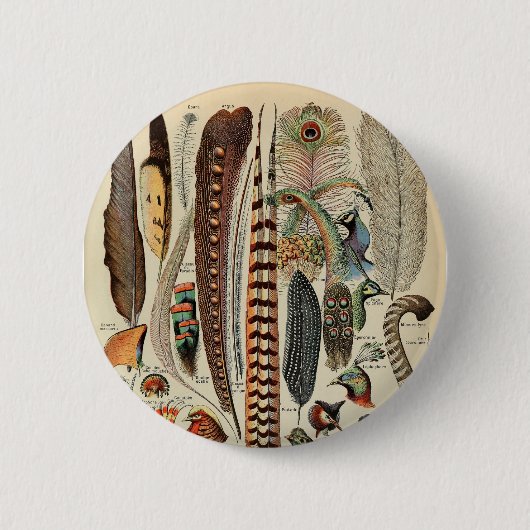 Vogelwildlife Antieke Veren Ronde Button 5,7 Cm (Voorkant)