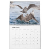 Vogelwildlifefoto's 2027 kalender (Jan 2027)