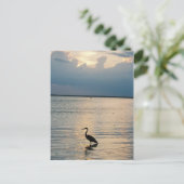 vogelzon briefkaart (Staand voorkant)