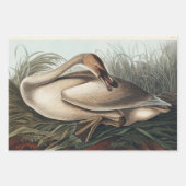  vogelzwaluw inpakpapier vel (Voorkant 3)